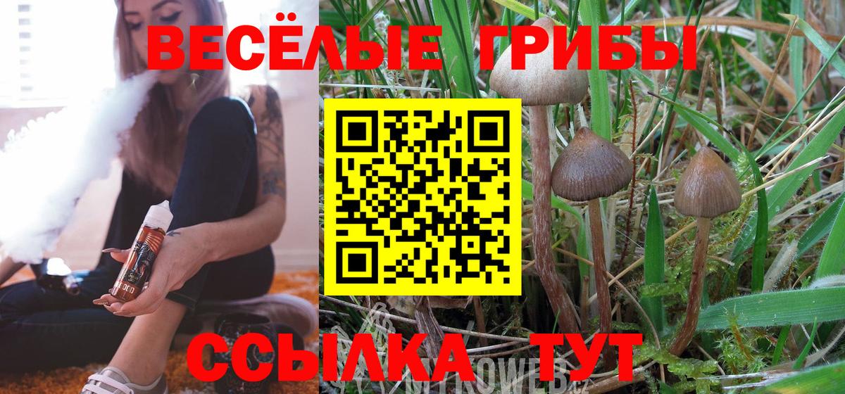 Псилоцибиновые грибы ЛСД Коломна